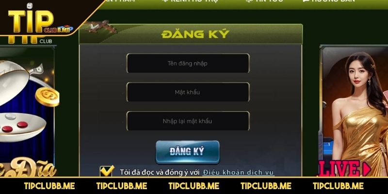 Điền đầy đủ dữ liệu thông tin mà cổng game yêu cầu